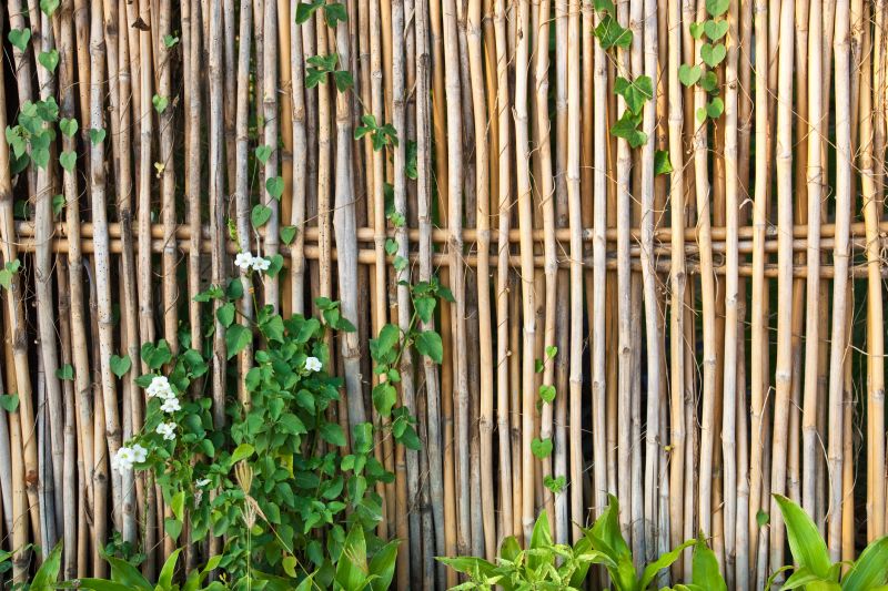 Natural Bamboo Fence